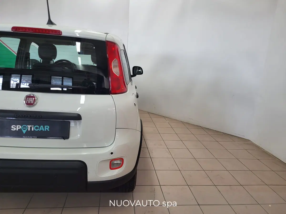 Fiat Panda Cross usata a Arezzo (9)