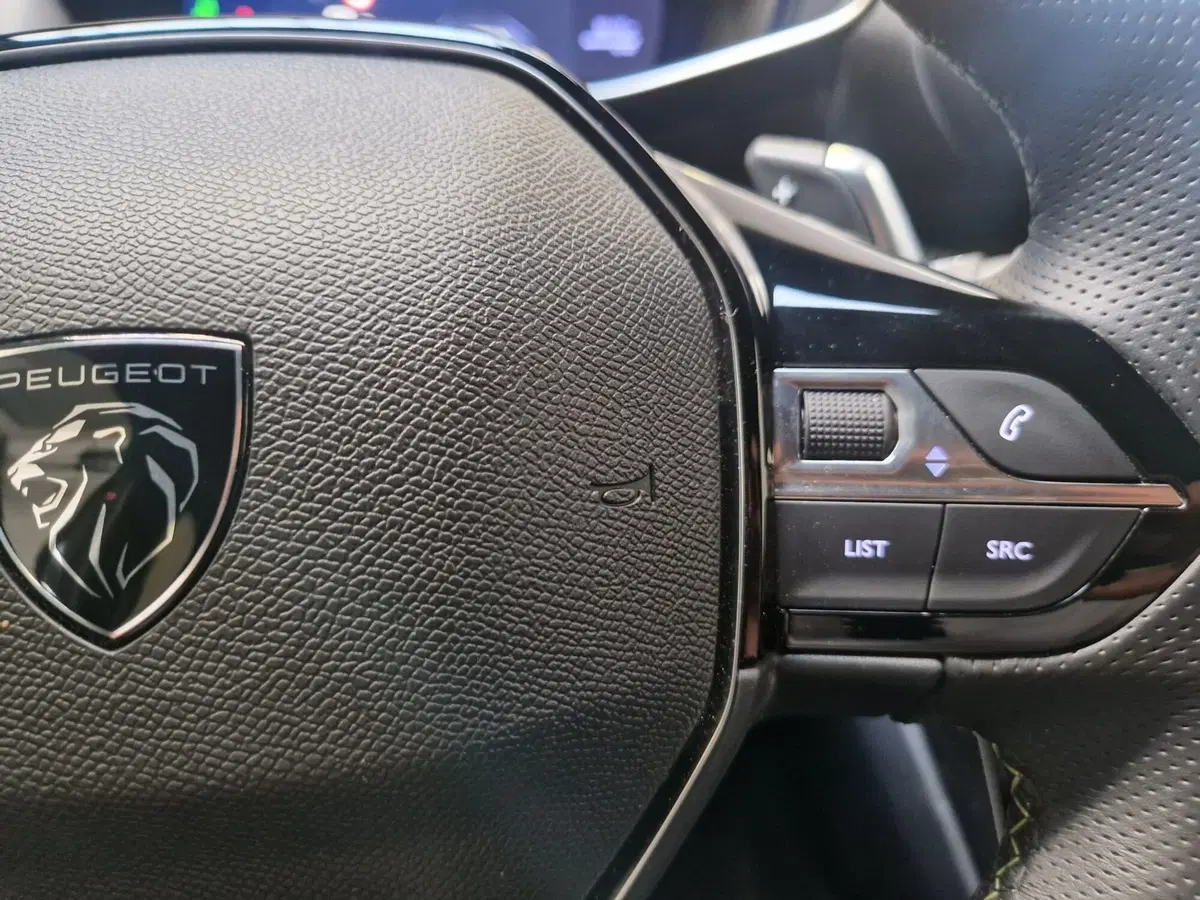 Peugeot 208 usata a Varese (15)