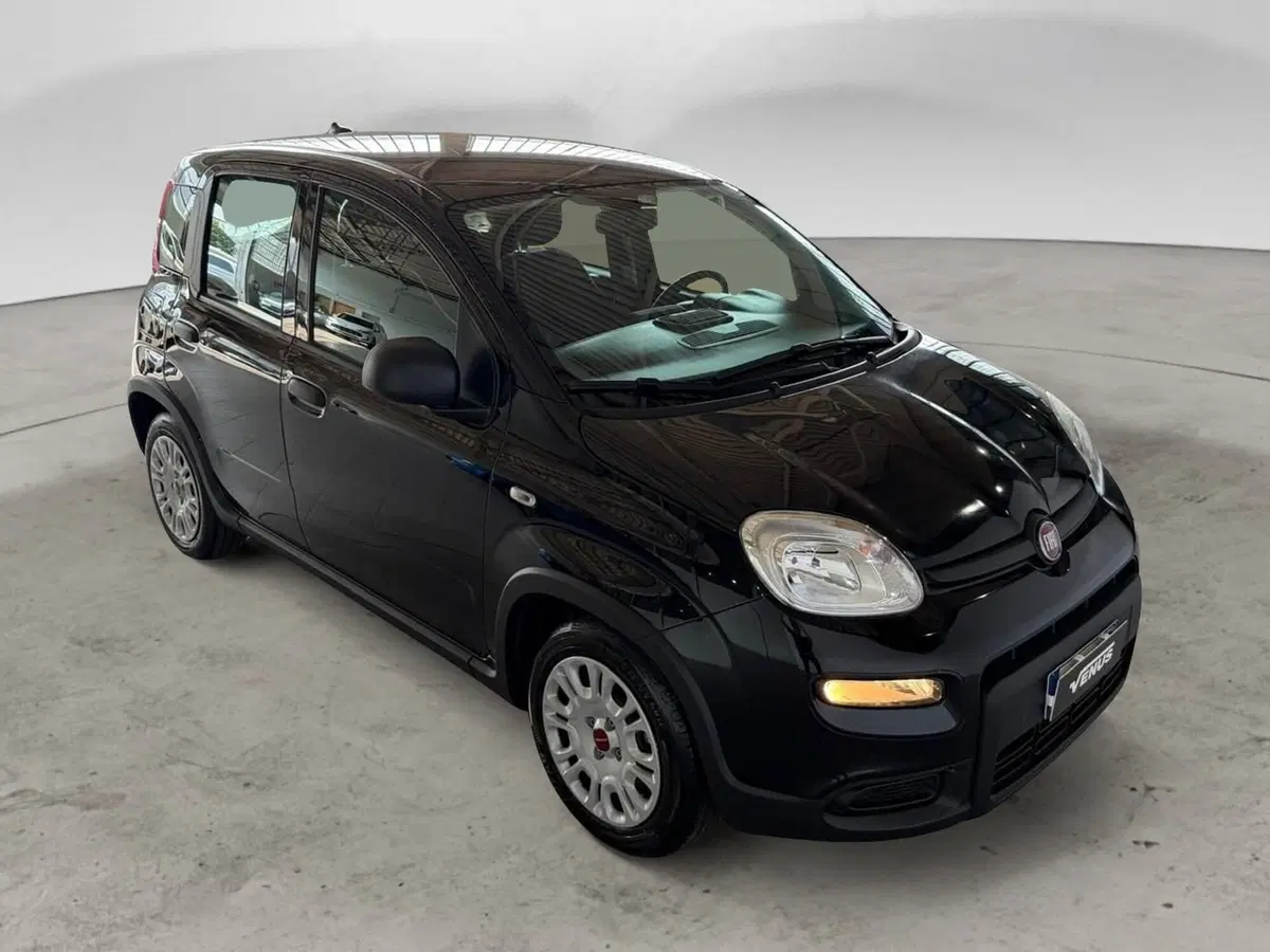 Fiat Panda Cross nuova a Monza e Brianza (15)