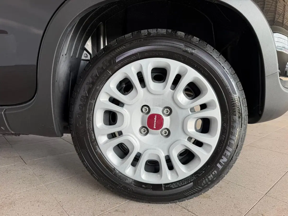 Fiat Panda Cross nuova a Monza e Brianza (16)