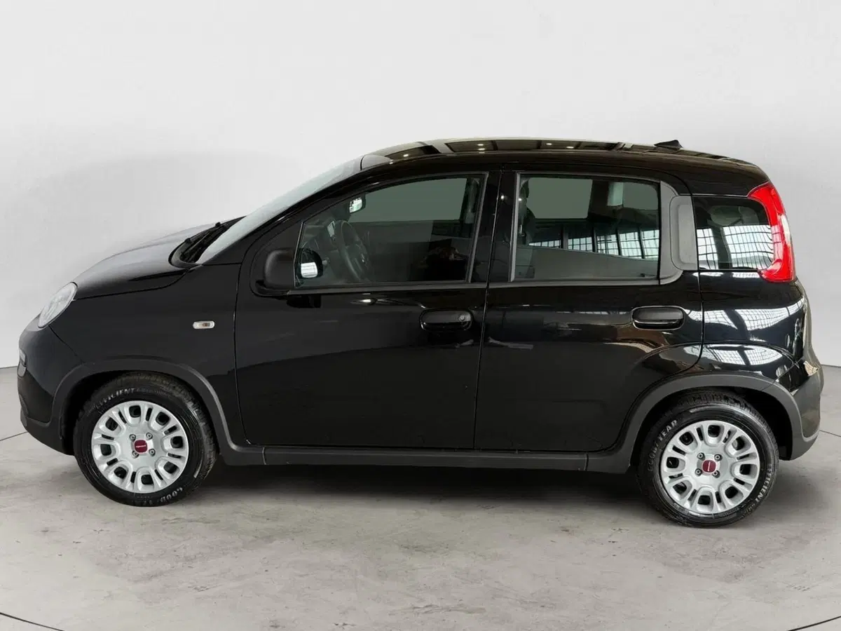 Fiat Panda Cross nuova a Monza e Brianza (3)