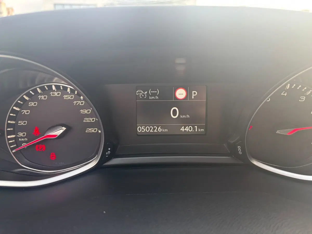 Peugeot 308 SW usata a Firenze (2)