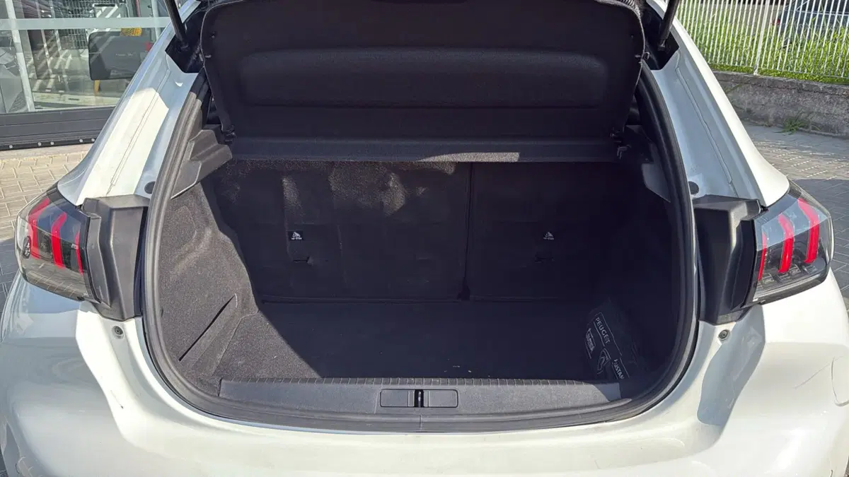 Peugeot 208 usata a Massa-Carrara (14)
