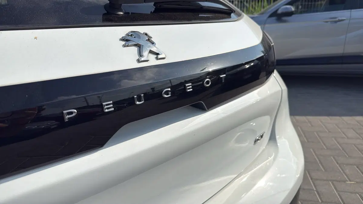 Peugeot 208 usata a Massa-Carrara (20)