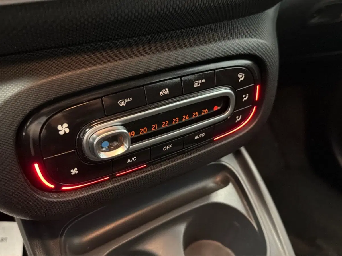 smart forfour usata a Palermo (11)