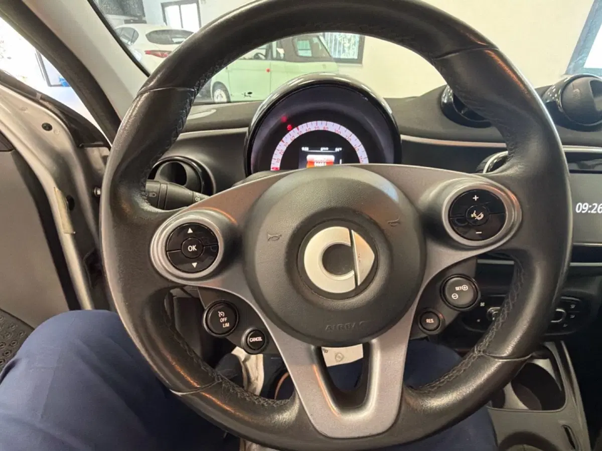 smart forfour usata a Palermo (14)