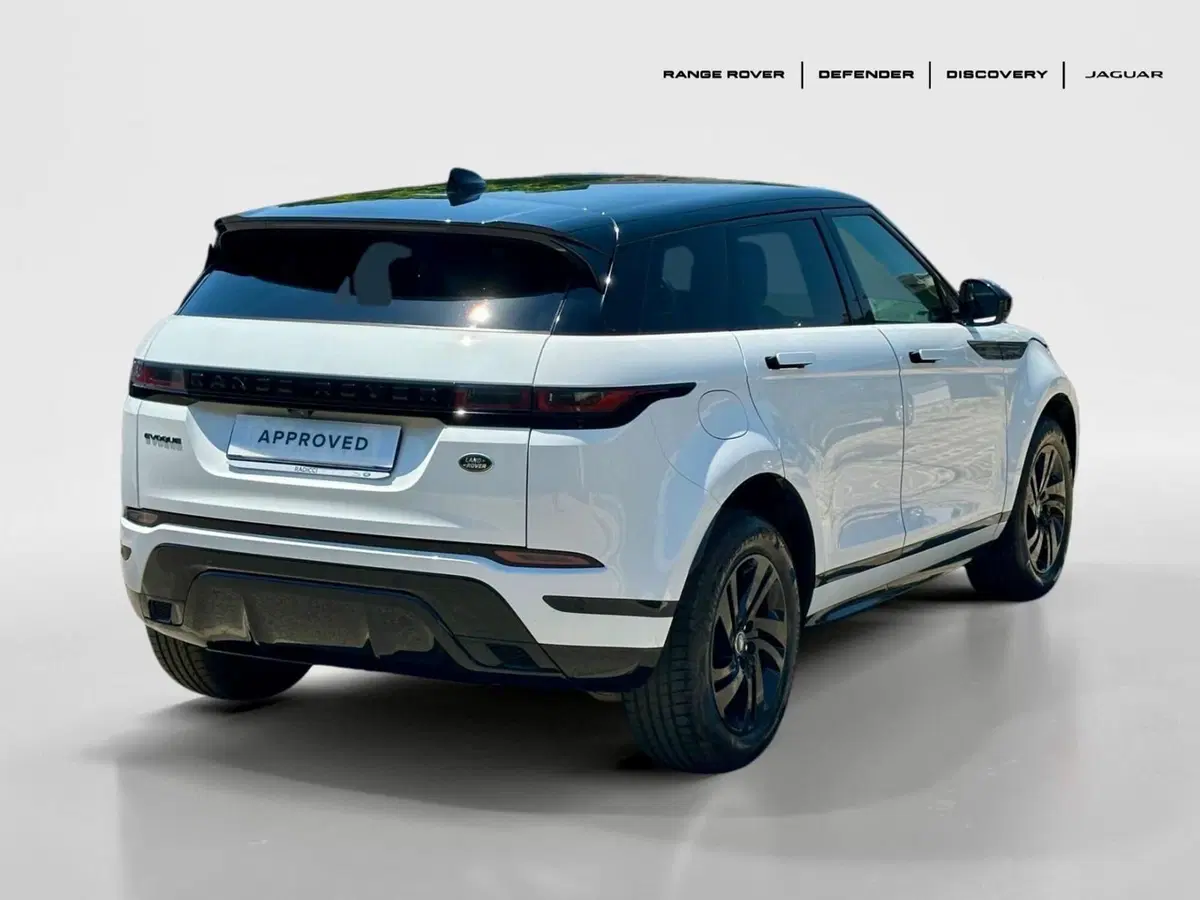 Land Rover Range Rover Evoque usata a Bari (2)