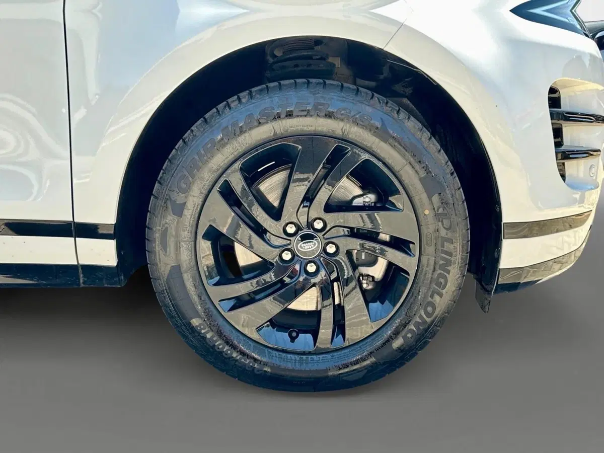 Land Rover Range Rover Evoque usata a Bari (9)