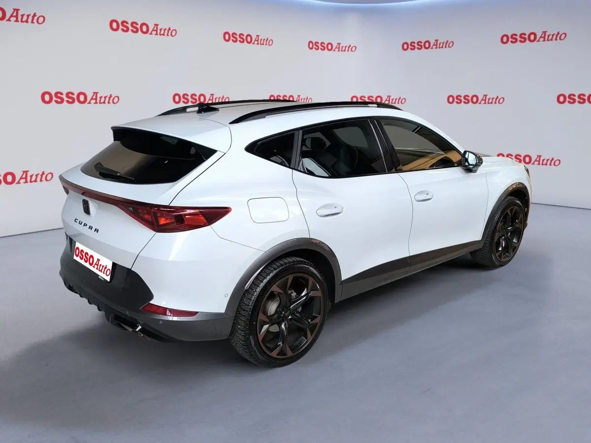 Cupra Formentor usata a Udine (3)
