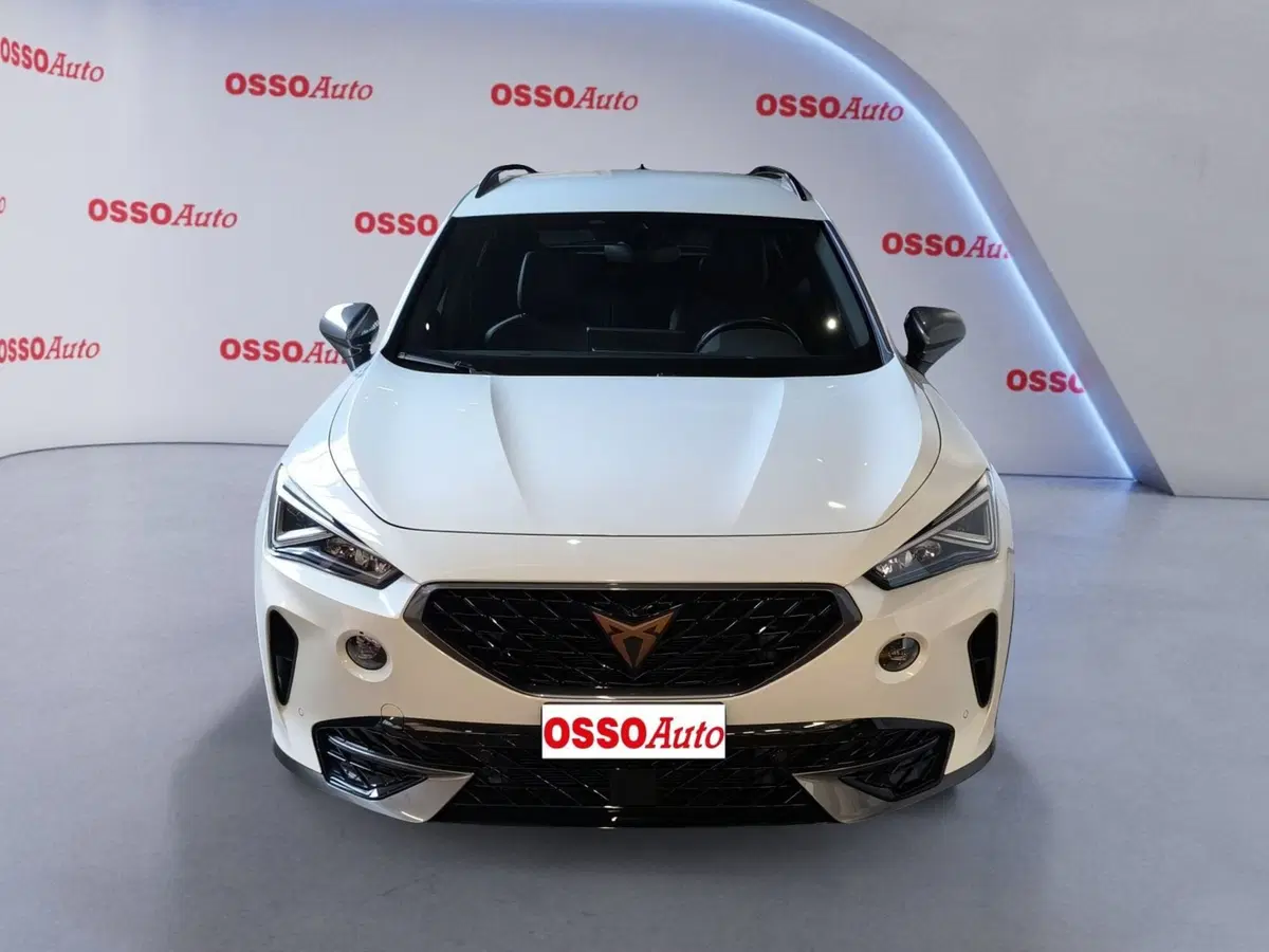 Cupra Formentor usata a Udine (5)