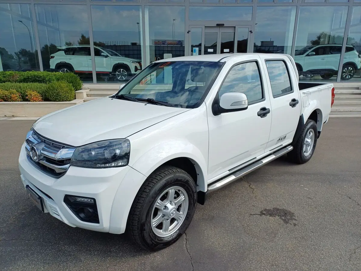 Great Wall Steed Pick-up usata a Modena (2)
