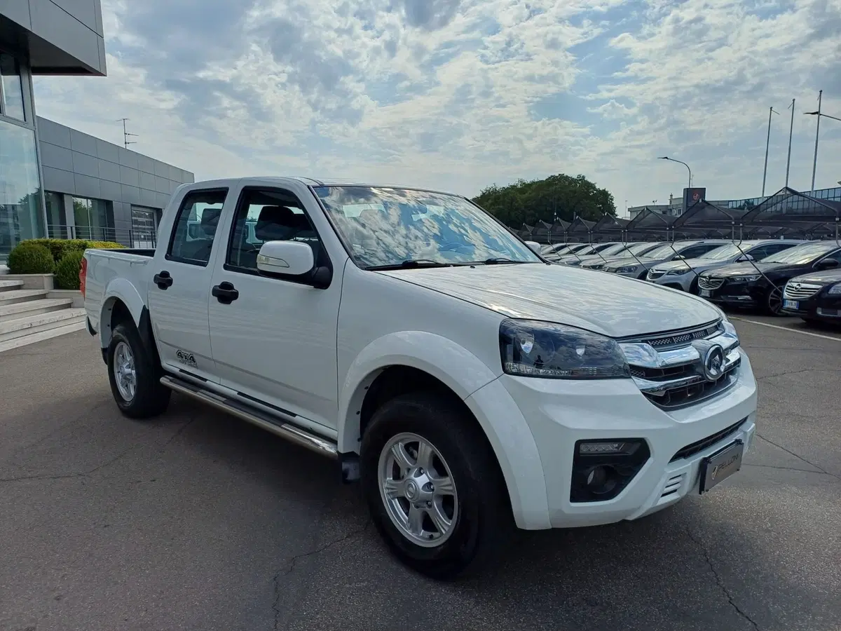 Great Wall Steed Pick-up usata a Modena (4)