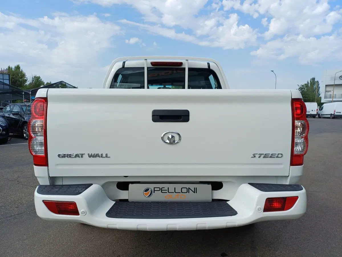 Great Wall Steed Pick-up usata a Modena (7)