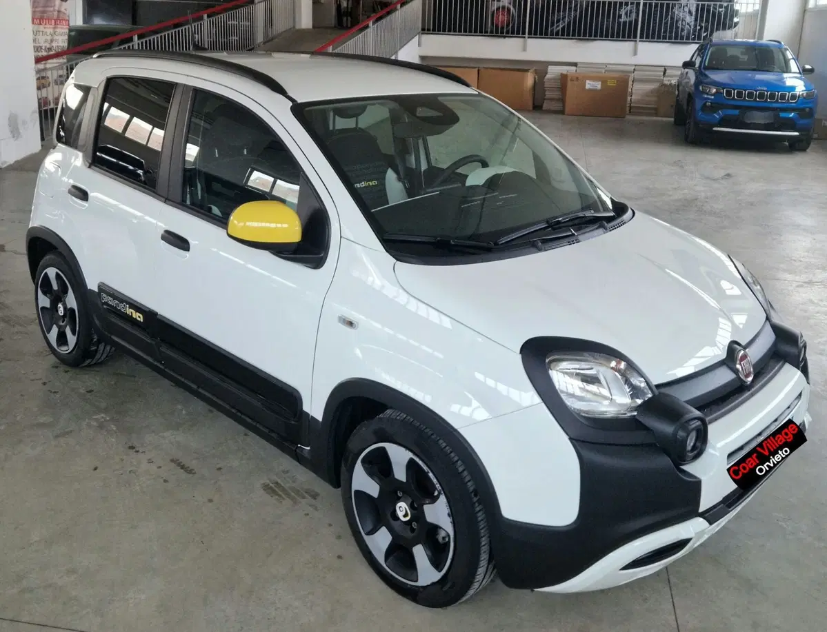 Fiat Panda Cross usata a Terni