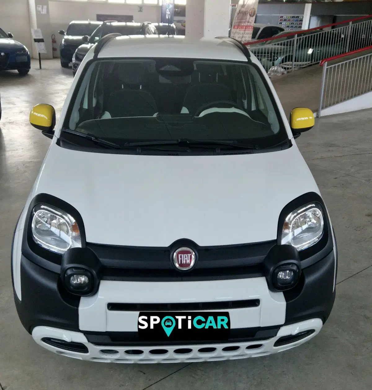 Fiat Panda Cross usata a Terni (2)