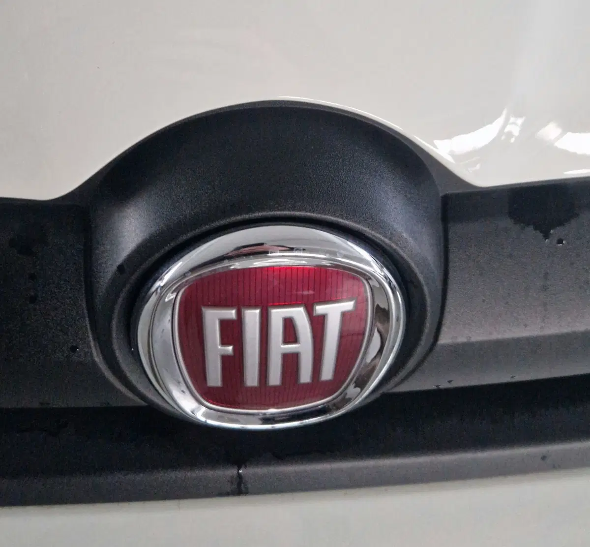 Fiat Panda Cross usata a Terni (20)