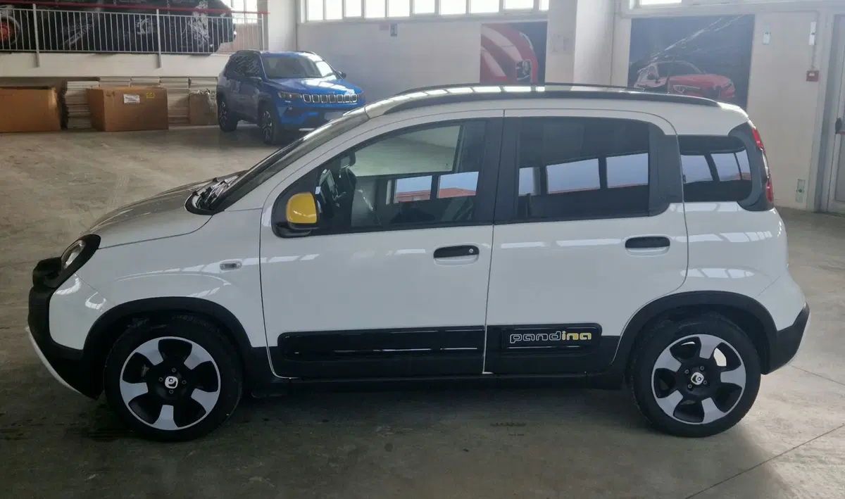 Fiat Panda Cross usata a Terni (3)