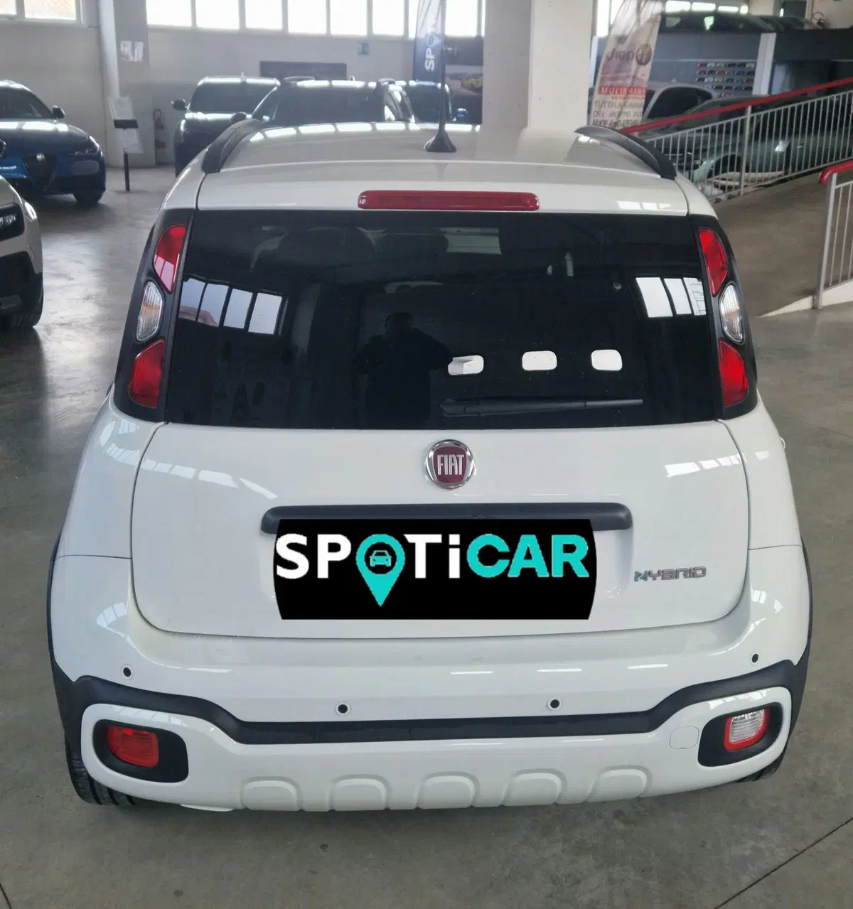 Fiat Panda Cross usata a Terni (5)