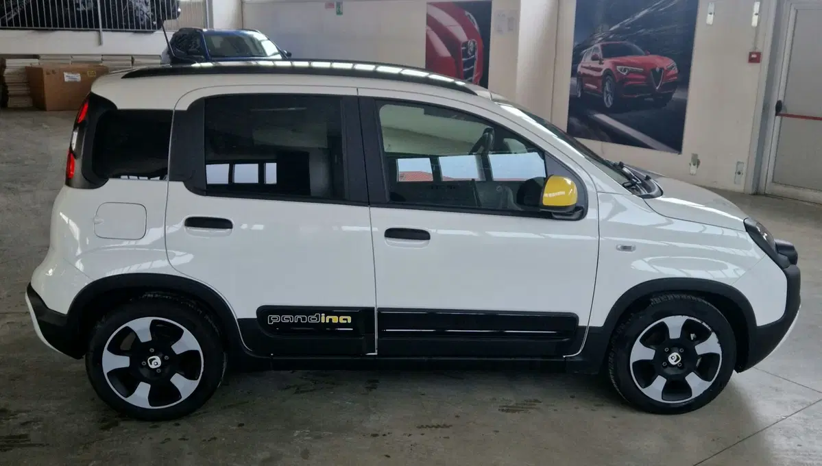 Fiat Panda Cross usata a Terni (6)