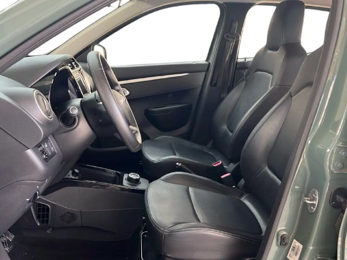 Dacia Spring usata a Roma (14)