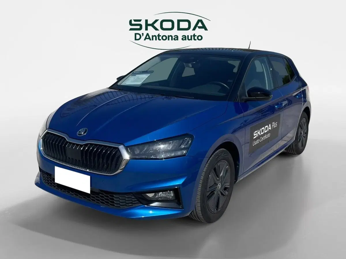 Skoda Fabia usata a Taranto (4)