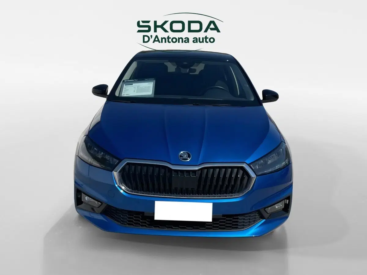 Skoda Fabia usata a Taranto (6)
