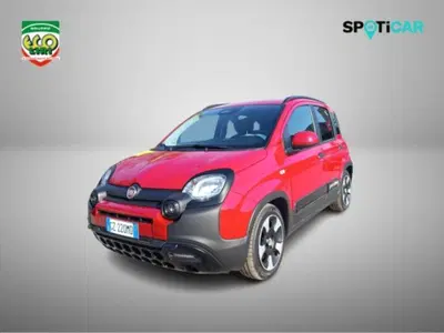 Fiat Panda Cross 1.0 firefly hybrid Cross s&amp;s 70cv 5p.ti del 2025 usata a San Giorgio a Liri