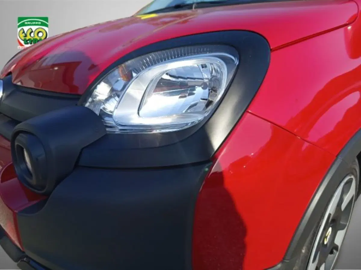Fiat Panda Cross usata a Frosinone (15)