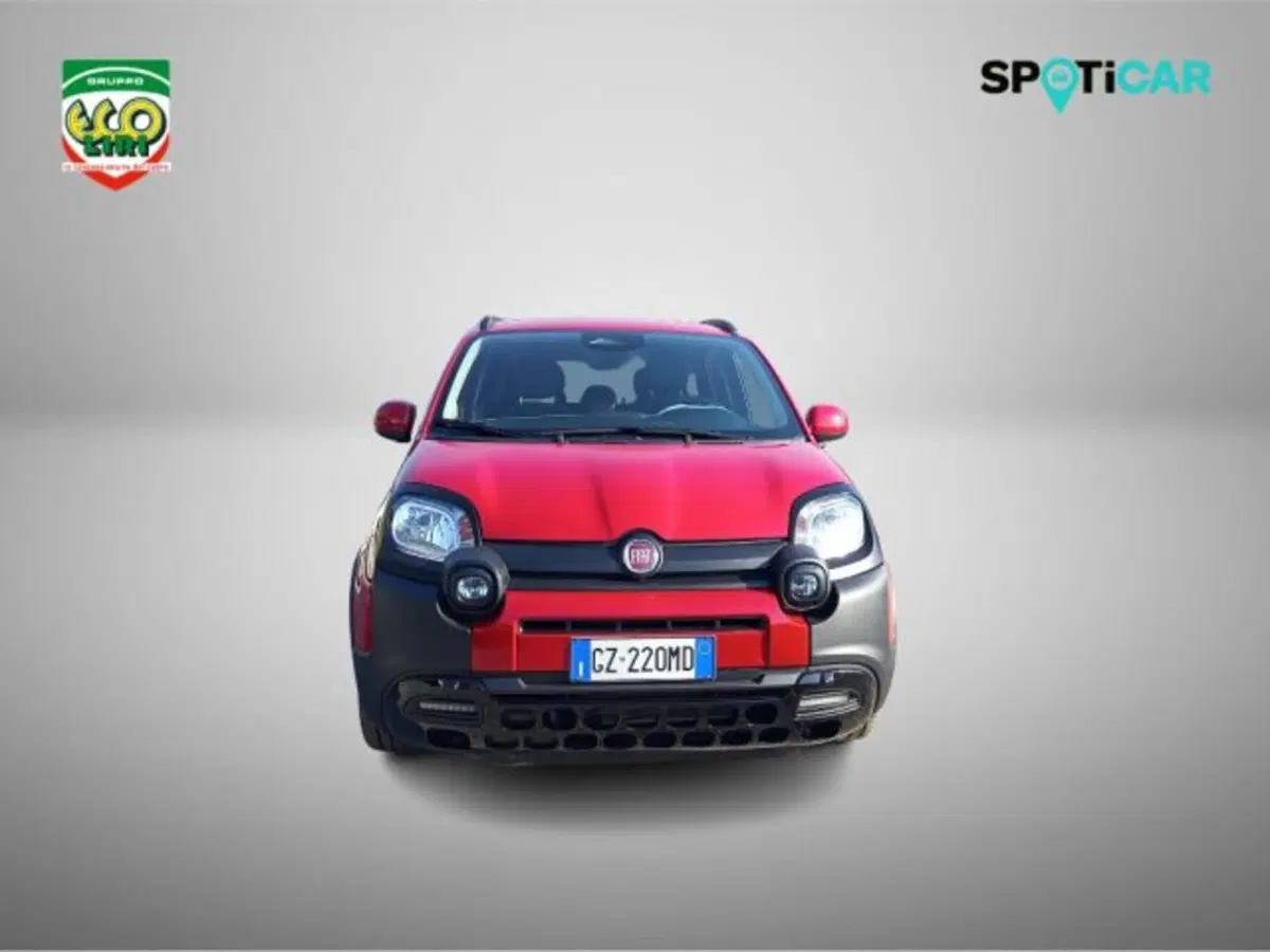Fiat Panda Cross usata a Frosinone (18)