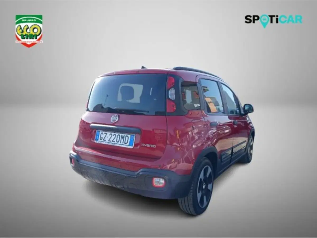Fiat Panda Cross usata a Frosinone (20)