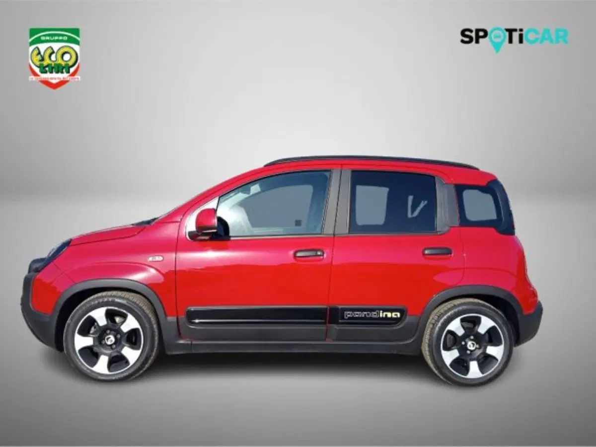 Fiat Panda Cross usata a Frosinone (3)