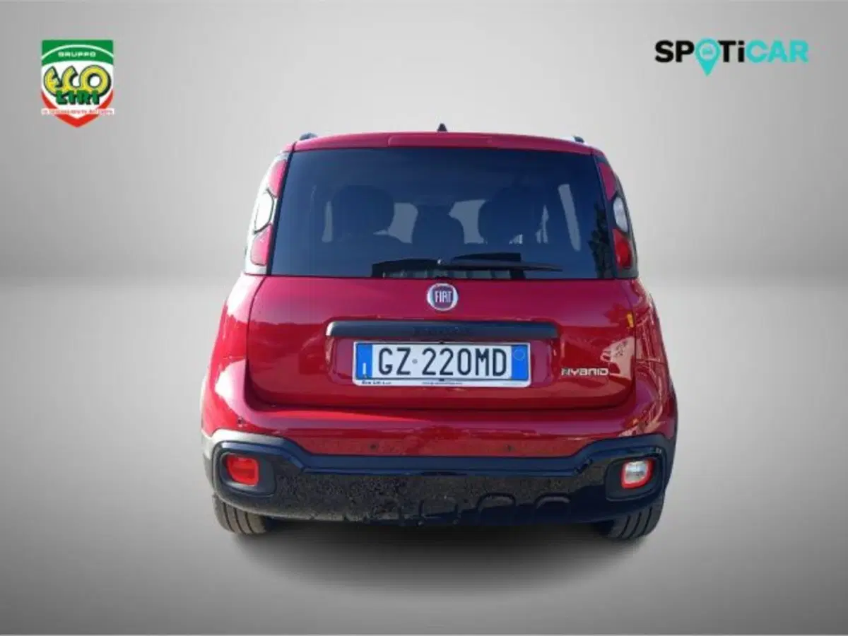 Fiat Panda Cross usata a Frosinone (5)
