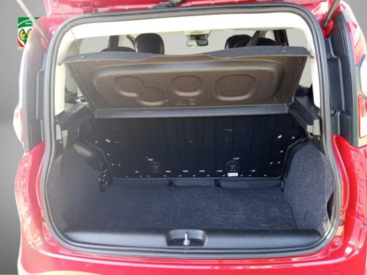 Fiat Panda Cross usata a Frosinone (6)