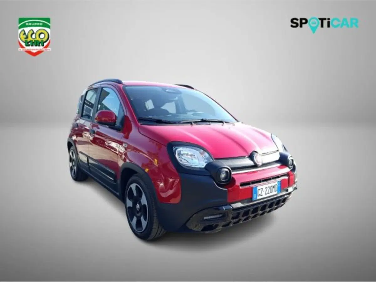 Fiat Panda Cross usata a Frosinone (7)