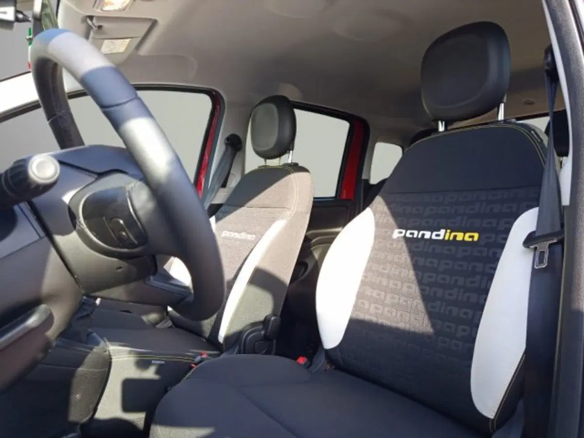 Fiat Panda Cross usata a Frosinone (9)