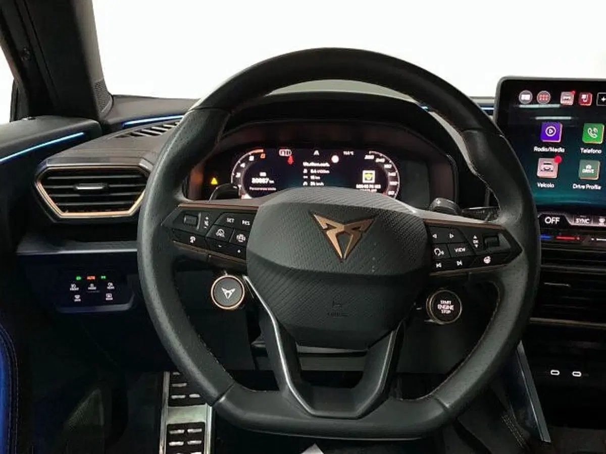 Cupra Formentor usata a Vicenza (9)