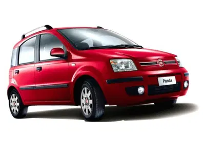 Fiat Panda 1.2 Dynamic Eco del 2010 usata a Pesaro