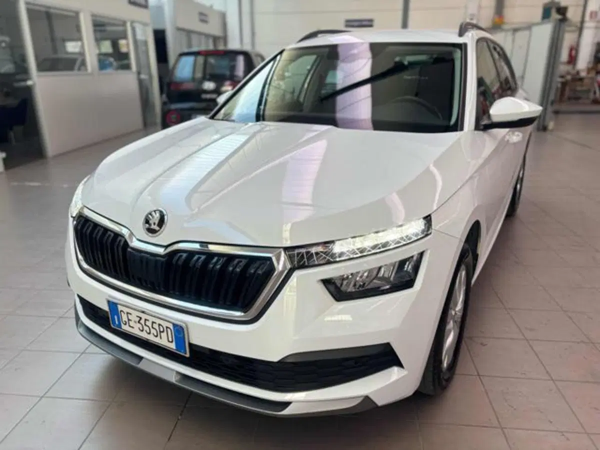 Skoda Kamiq usata a Pesaro-Urbino (3)