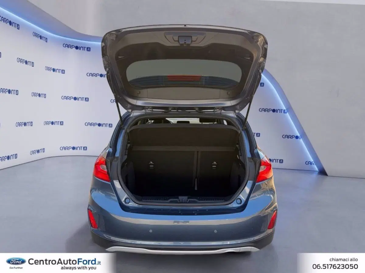 Ford Fiesta usata a Roma (17)