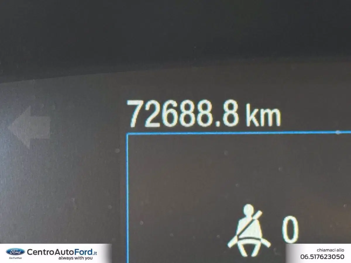 Ford EcoSport usata a Roma (16)