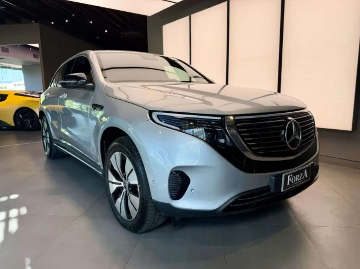 Mercedes-Benz EQC usata a Torino (3)
