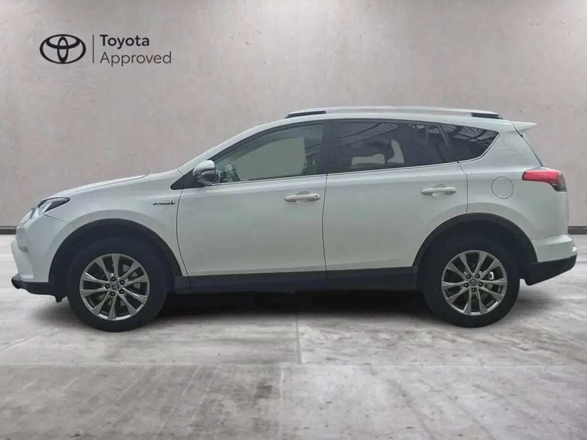 Toyota Rav4 usata a Torino (4)