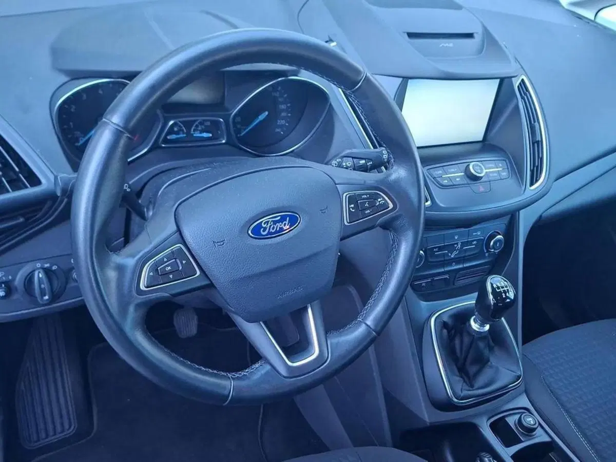 Ford C-Max usata a Torino (10)