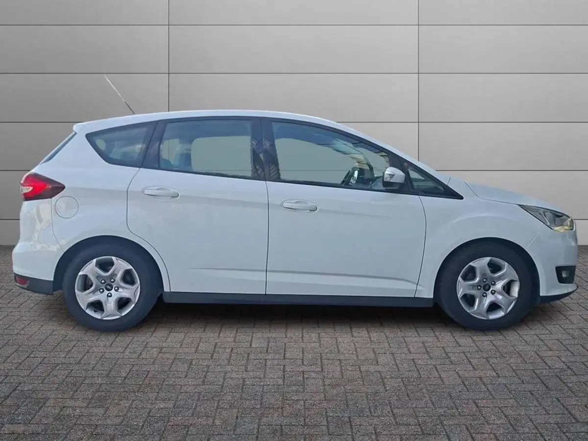 Ford C-Max usata a Torino (3)