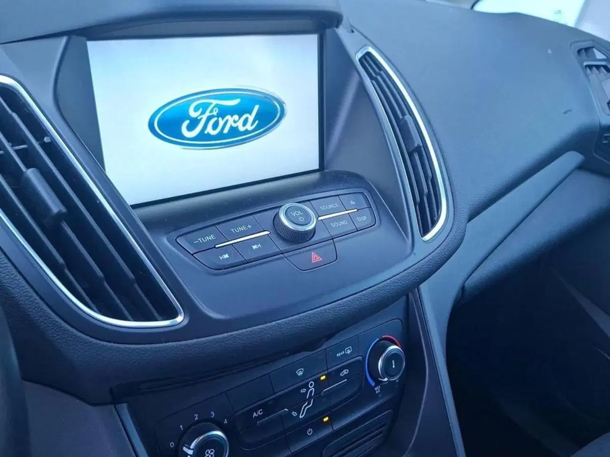 Ford C-Max usata a Torino (7)