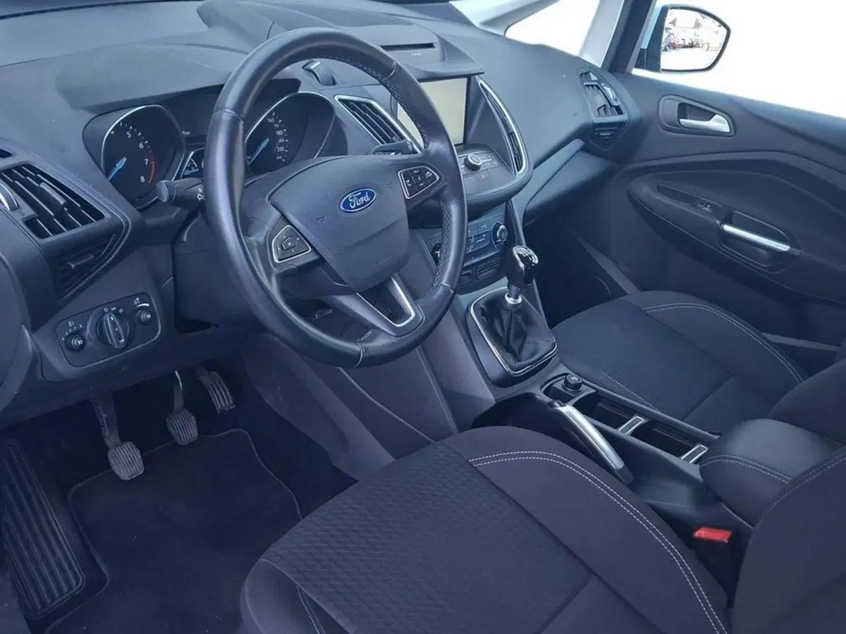 Ford C-Max usata a Torino (9)