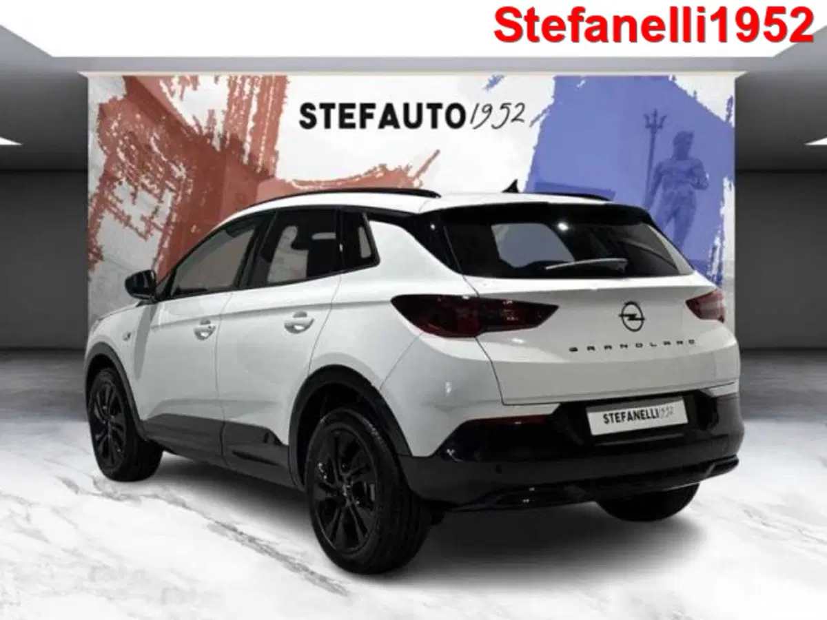 Opel Grandland nuova a Bologna (5)