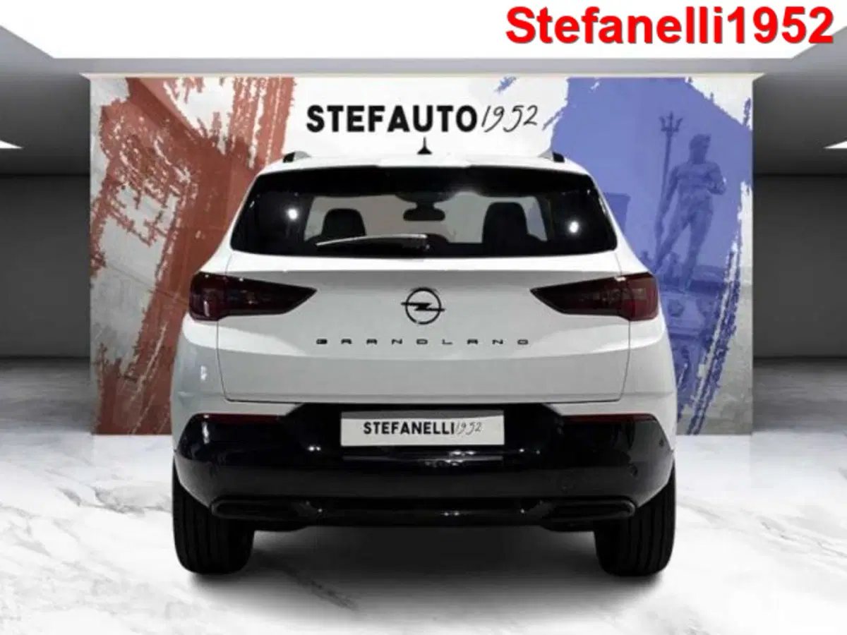 Opel Grandland nuova a Bologna (6)