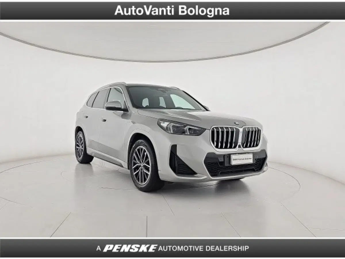 BMW X1 usata a Bologna (7)