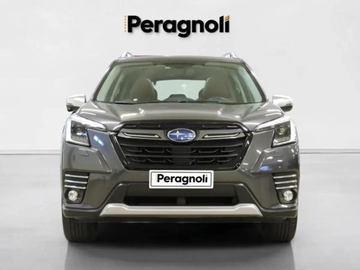 Subaru Forester usata a Firenze (2)